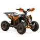 Дитячий електроквадроцикл ASIX E-DRAKE 1200W 3620 фото 1