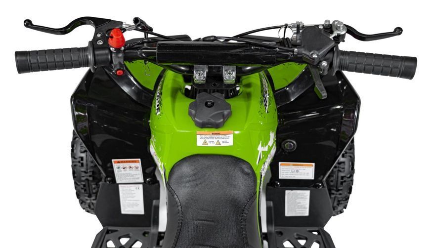 Дитячий бензиновий квадроцикл Renegade HighPer 50 см&sup3; P-Start 3057 фото