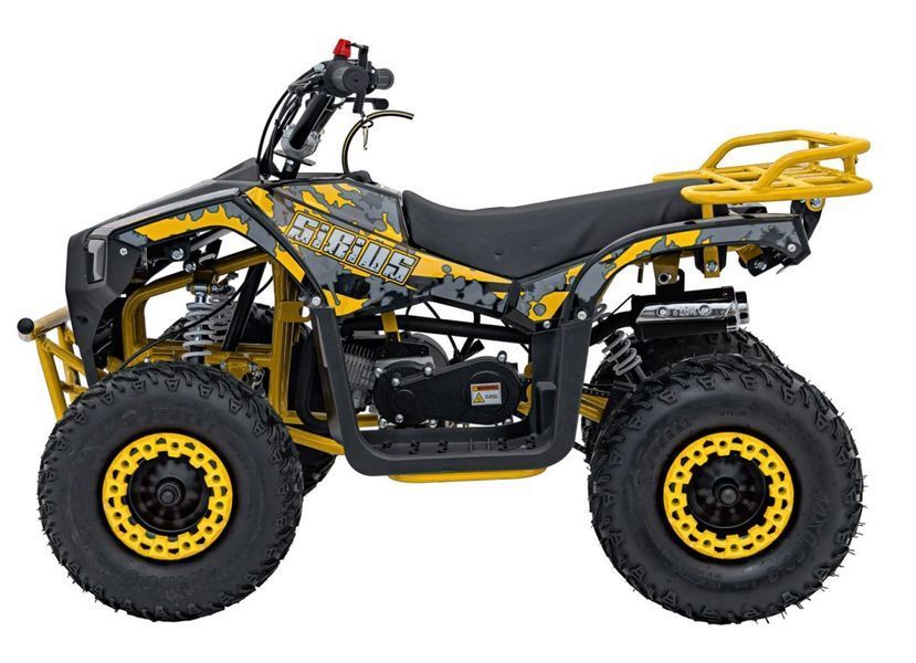 Дитячий бензиновий квадроцикл Renegade Sirius 50 см&sup3; P-Start 3060 фото