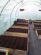 Теплиця Garden Point 3x4,5 м 6410 фото 3