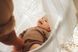 Балдахін на колиску BabyBjorn HARMONY 2031 фото 5
