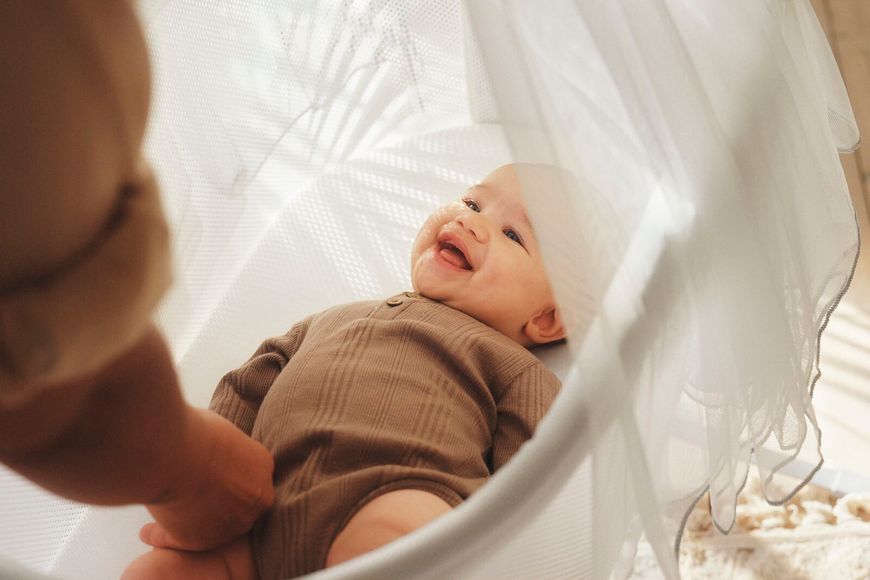 Балдахін на колиску BabyBjorn HARMONY 2031 фото