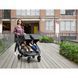 Прогулянкова коляска Baby Jogger City Mini GT 2 Double 2879 фото 2