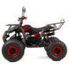 Дитячий бензиновий квадроцикл XTR PHYTON 8 110см3 3550 фото 2