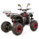 Дитячий бензиновий квадроцикл XTR PHYTON 8 110см3 3550 фото 4