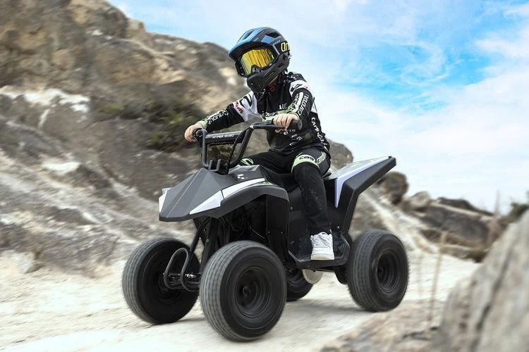 Дитячий квадроцикл Hyper Gogo Quad C12 2428 фото