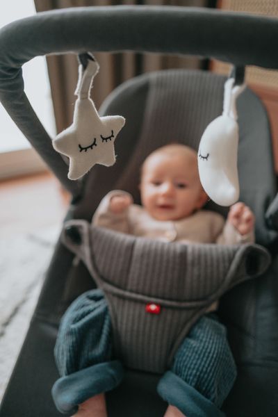 Шезлонг MAST Swiss Design FLEX BOUNCER 2 5505 фото