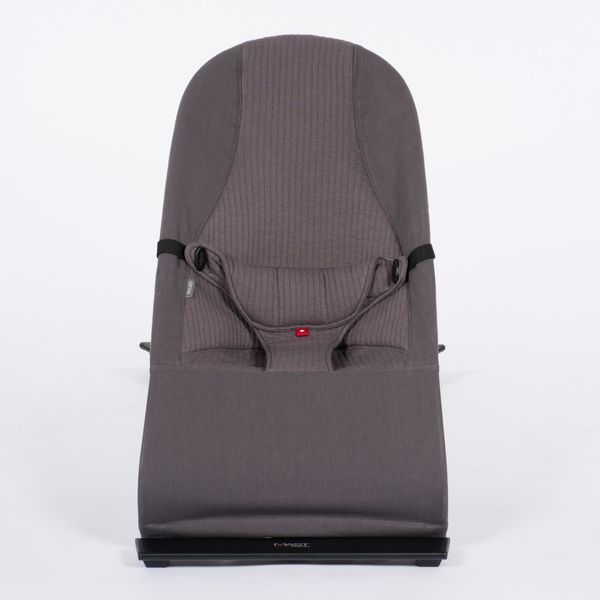 Шезлонг MAST Swiss Design FLEX BOUNCER 2 5505 фото