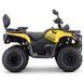 Квадроцикл ASIX GLADIATOR 200 см&sup3; (карбіратор) 3640 фото 6