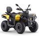 Квадроцикл ASIX GLADIATOR 200 см&sup3; (карбіратор) 3640 фото 1