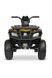 Дитячий електроквадроцикл Toyz Rush 3706 фото 3