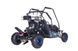 Дитячий бензиновий Buggy Renegade LUCKY SEVEN LIFT 125 см&sup3; E-START 3081 фото 2