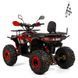 Дитячий бензиновий квадроцикл XTR Discovery PRO 125см3 3565 фото 5