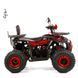 Дитячий бензиновий квадроцикл XTR Discovery PRO 125см3 3565 фото 6