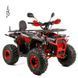 Дитячий бензиновий квадроцикл XTR Discovery PRO 125см3 3565 фото 1