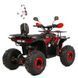 Дитячий бензиновий квадроцикл XTR Discovery PRO 125см3 3565 фото 4