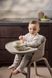 Стільчик для годування Elodie Details GRACE Tender Taupe 2387 фото 11