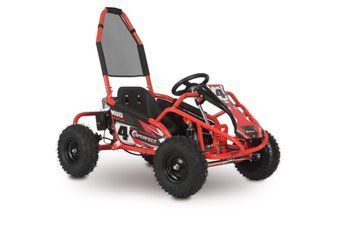 Дитячий бензиновий картинг Renegade MUD MONSTER 98cm3 3087 фото