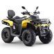 Квадроцикл ASIX GLADIATOR 300 см&sup3;(інжектор) 3644 фото 1
