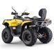 Квадроцикл ASIX GLADIATOR 300 см&sup3;(інжектор) 3644 фото 7