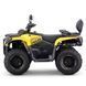 Квадроцикл ASIX GLADIATOR 300 см&sup3;(інжектор) 3644 фото 6