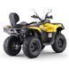 Квадроцикл ASIX GLADIATOR 300 см&sup3;(інжектор) 3644 фото 8