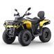 Квадроцикл ASIX GLADIATOR 300 см&sup3;(інжектор) 3644 фото 5