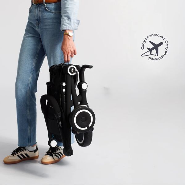 Триколісний велосипед SmartTrike Wind 5373 фото