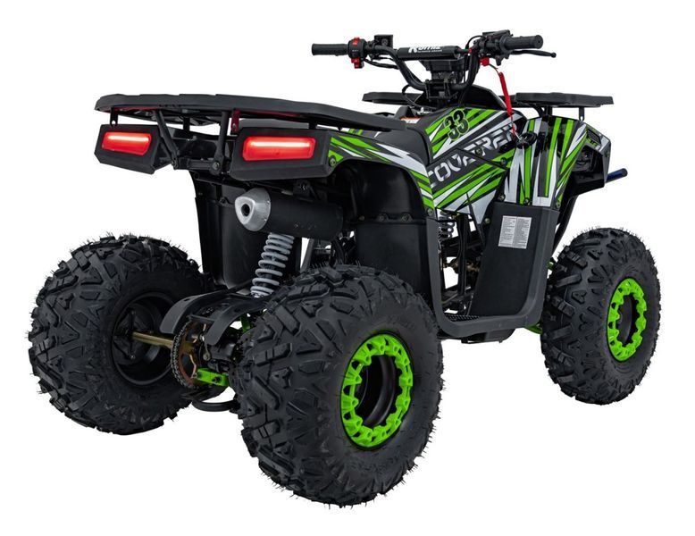 Дитячий бензиновий квадроцикл Renegade DISCOVERER 125 см&sup3; E-START 3043 фото