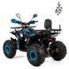 Дитячий бензиновий квадроцикл XTR Storm PRO 125cm3 3562 фото 5