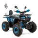 Дитячий бензиновий квадроцикл XTR Storm PRO 125cm3 3562 фото 1