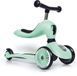 Самокат 2 в 1 Scoot and Ride Highwaykick 1 2829 фото 1