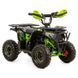 Дитячий електроквадроцикл ASIX E-DUSTY 1000W 3617 фото 1