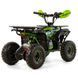 Дитячий електроквадроцикл ASIX E-DUSTY 1000W 3617 фото 4